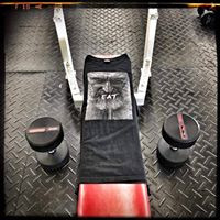 aquariophile tony-thirrey