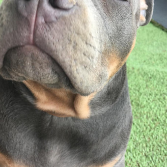 aquariophile kaidread