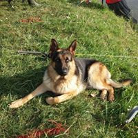 aquariophile cacilia33