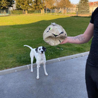 aquariophile Mathieu17