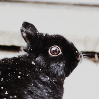 aquariophile Pauline.pjn