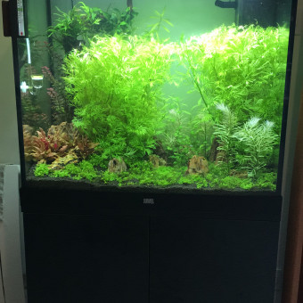 aquariophile alexandre-leroy