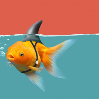 aquariophile Issanissa