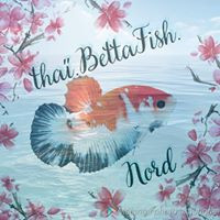 aquariophile naoki-lou