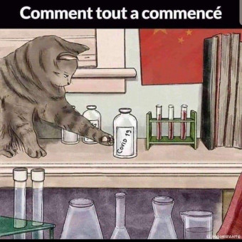 aquariophile Elodee.42