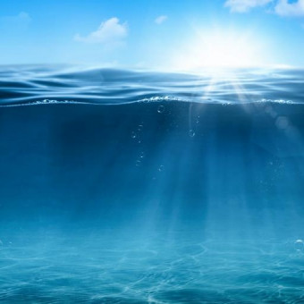 aquariophile Antoine76