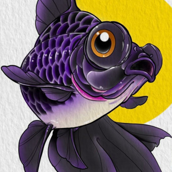 aquariophile BumblebeeFish