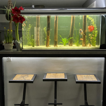 aquariophile Maxime04
