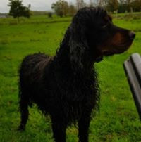 aquariophile michel-dejardin