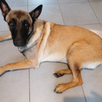 aquariophile Cormier