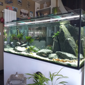 aquariophile Jc80190