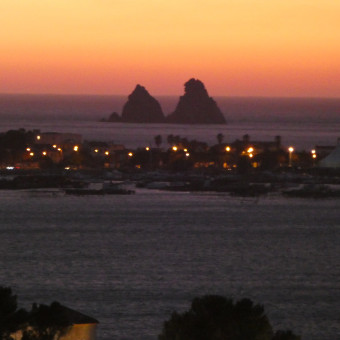 aquariophile marcelline