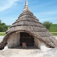 aquariophile budon-teflon