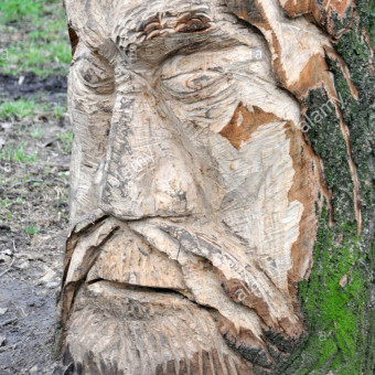 aquariophile morgane5