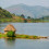 acheter poissons-africains-du-lac-tanganyika