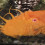 StuFish