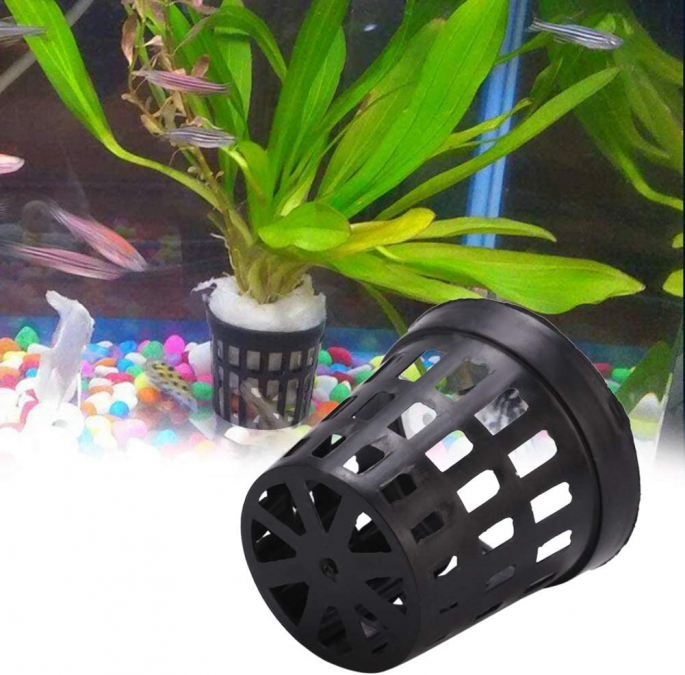 Colle pour aquarium