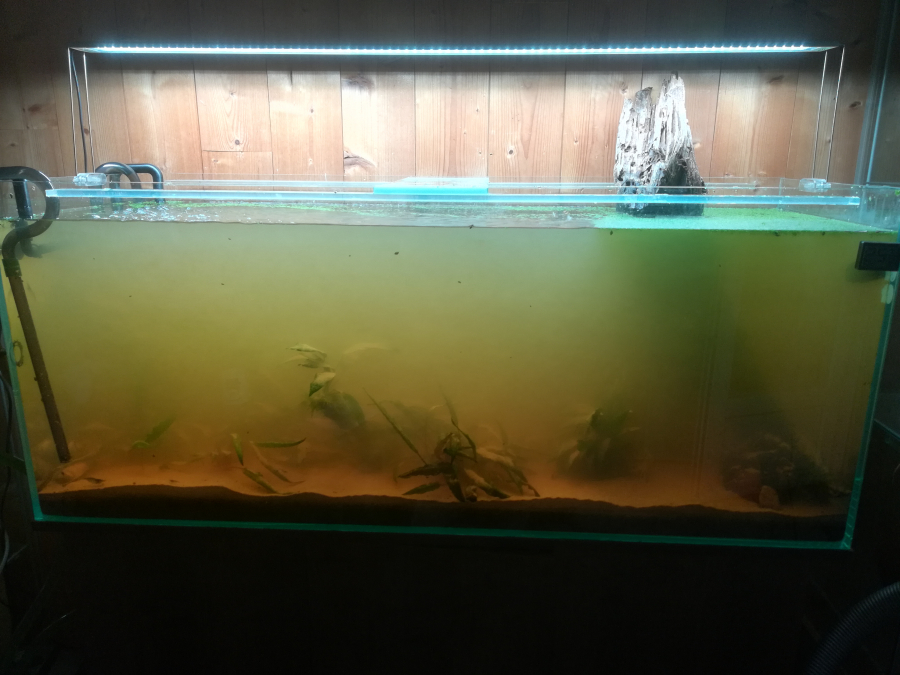 Changement sable pour aquarium 200l, sur le forum de discussions