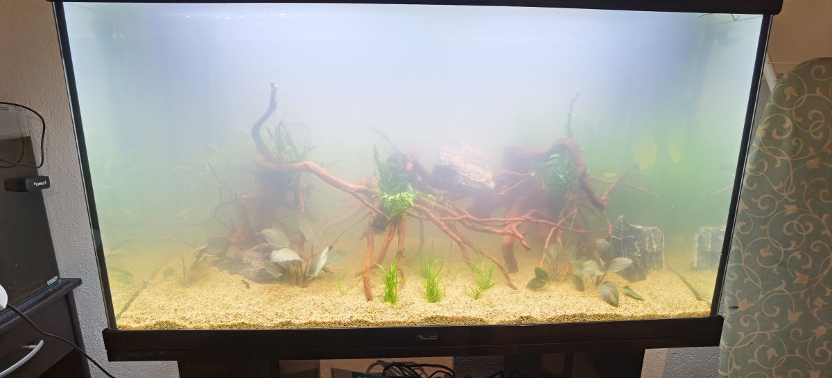 Changement sable pour aquarium 200l, sur le forum de discussions