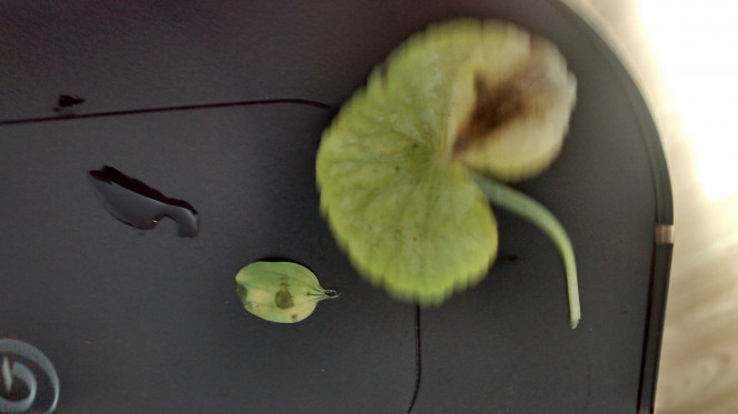 Photographie du post de Marie-Frances 