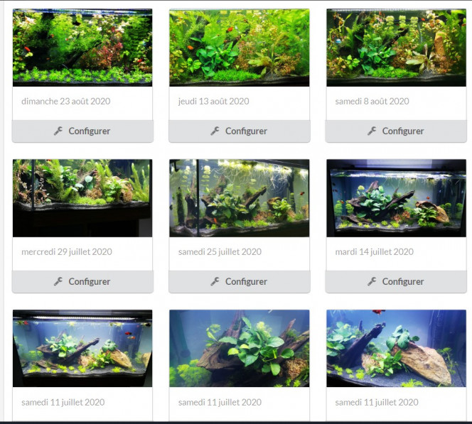 Photographie du post de ChrisdeReims 