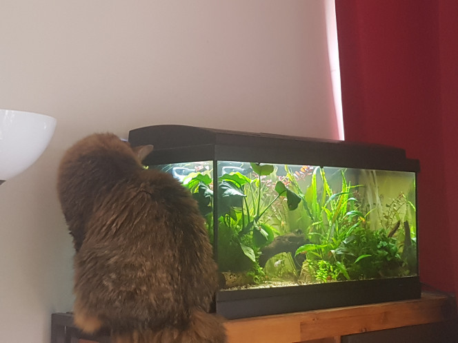 Solène? "C'est pas moi!"