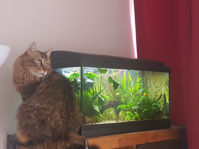 Solène? "C'est pas moi!"
