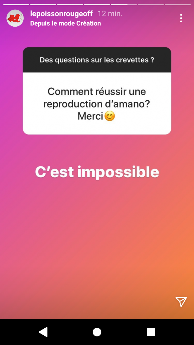 Photographie du post de MarleneMLX 