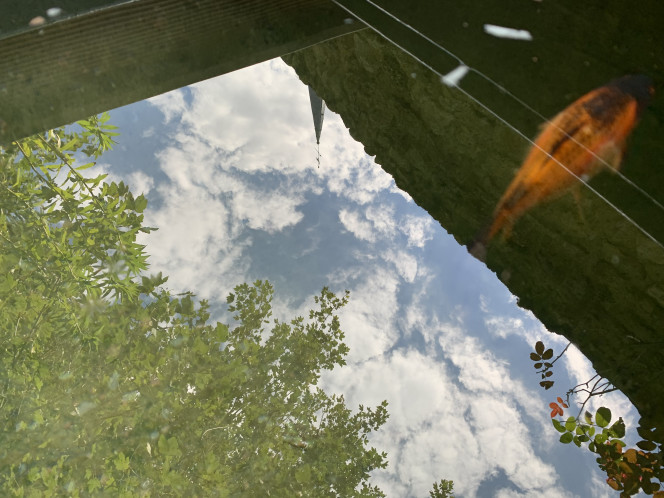 Photographie du post de max444 