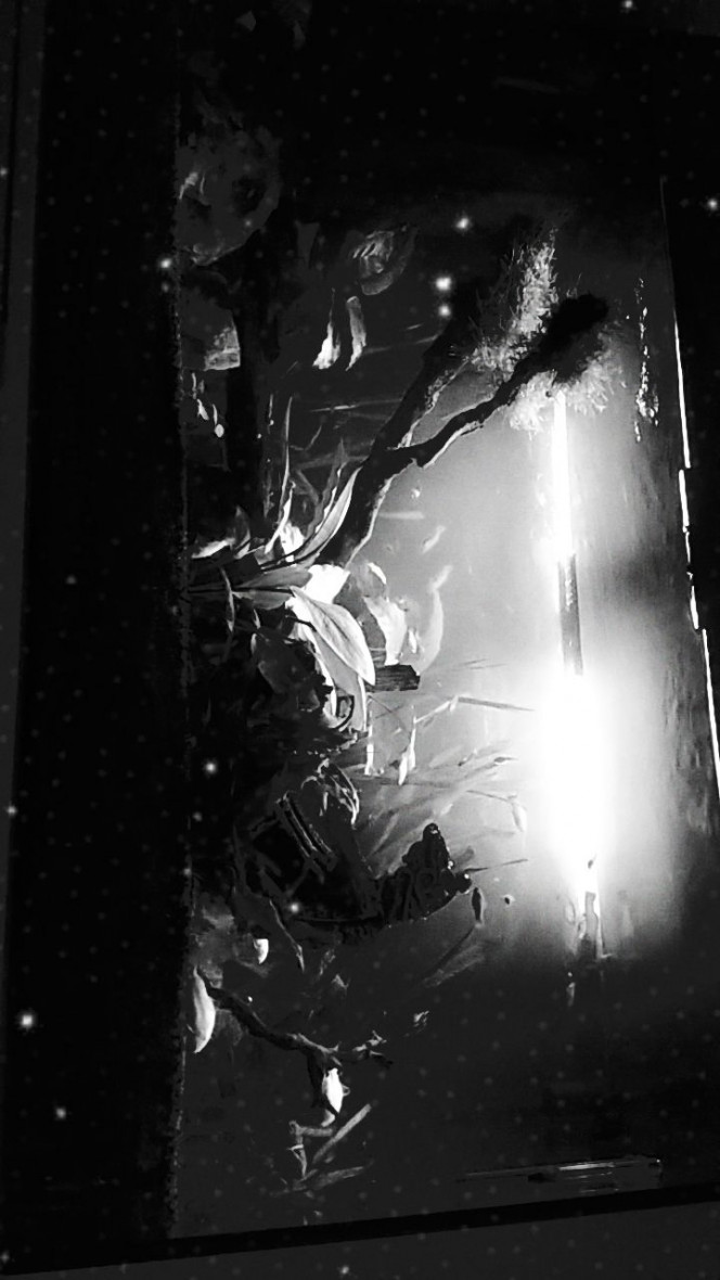 Photographie du post de Lulu82 