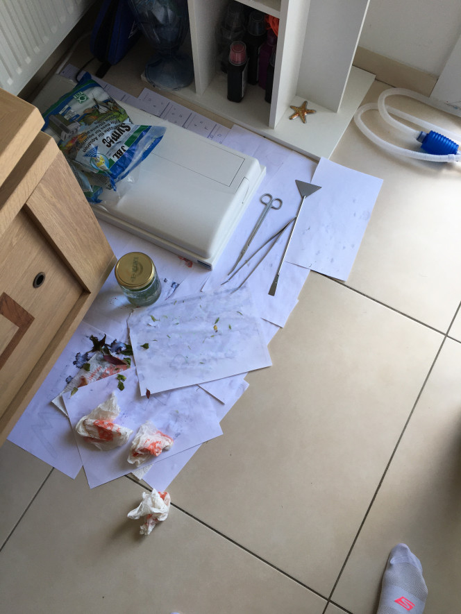Photographie du post de Gigibebou 