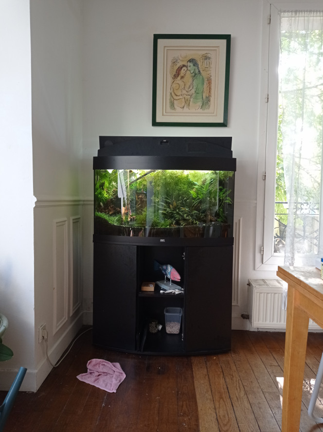 Photographie du post de Stef7524 