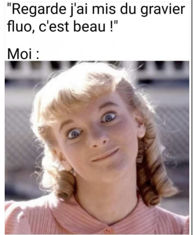 Photographie du post de AudreyR 