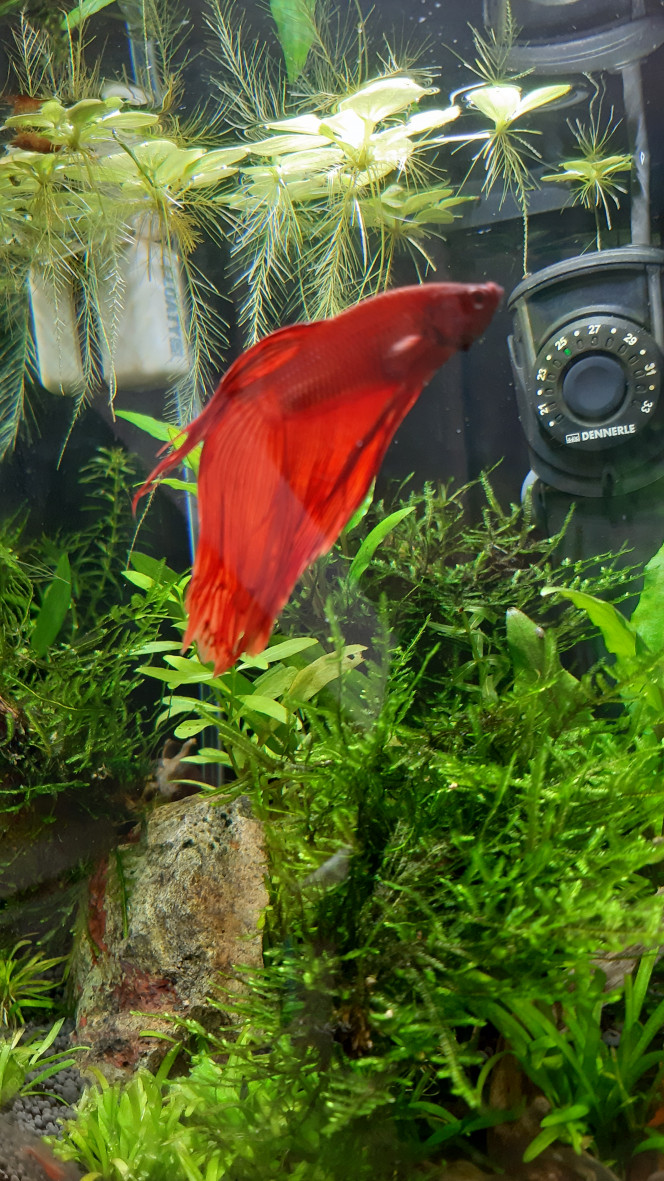 Nano 20 LITRES 
