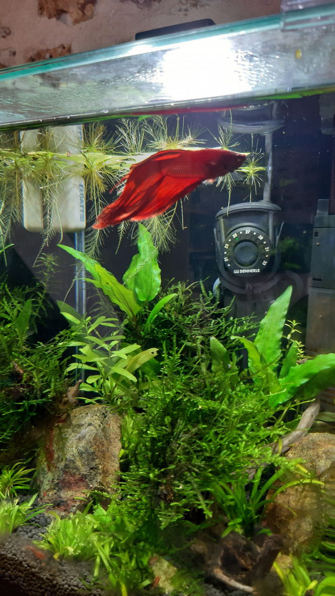 Nano 20 LITRES 