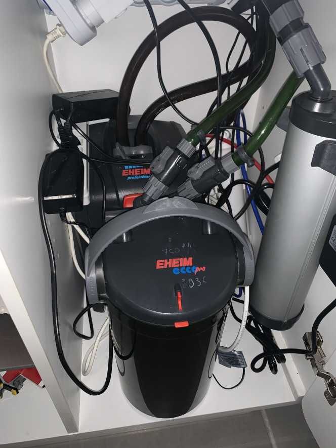Filtration Pompes Eheim Filtration 

Pompe eheim 4+ 800l/h
Pompe eheim  2036 750l/h

Filtre UV eheim 80 peu utilisé juste deux fois à l’apparition d’une eau trouble pendant l’été à cause d’une monté en température.. 

Pas de bulleur ., juste un venturi fait maison pour alimenter en air la pompe de brassage qui ne tourne que la journée.