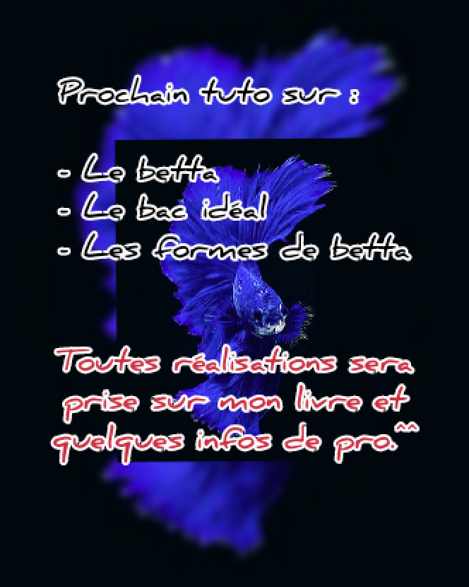 En cours d'écriture ! Evolution :

1-l'écriture
2-le vocal
3-la mise en page
4-la vidéo
