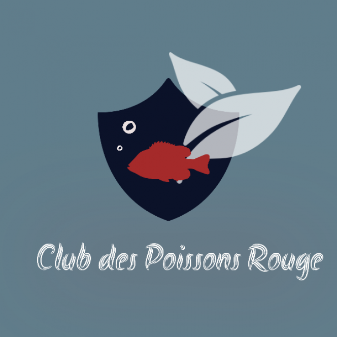Photographie du post de Lulu82 