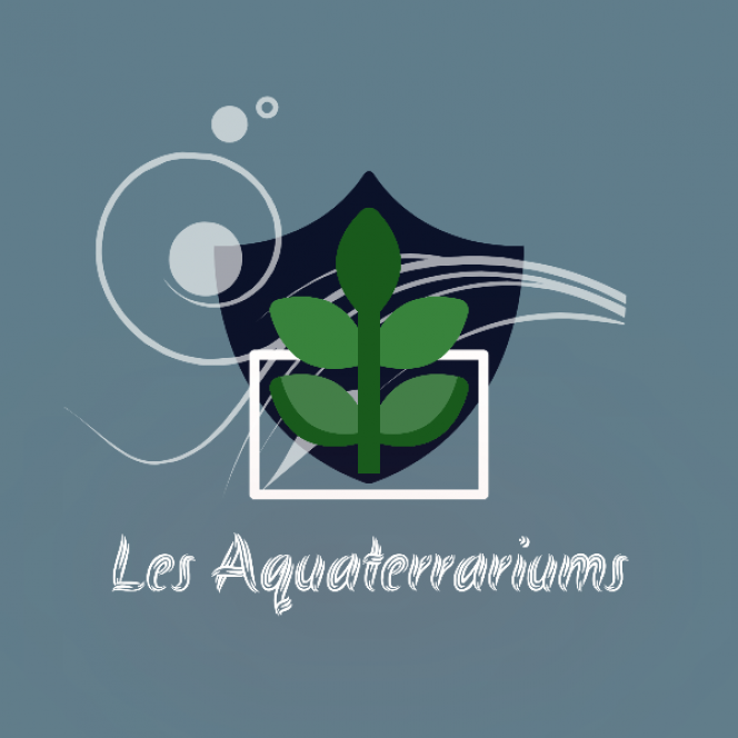 Photographie du post de Lulu82 
