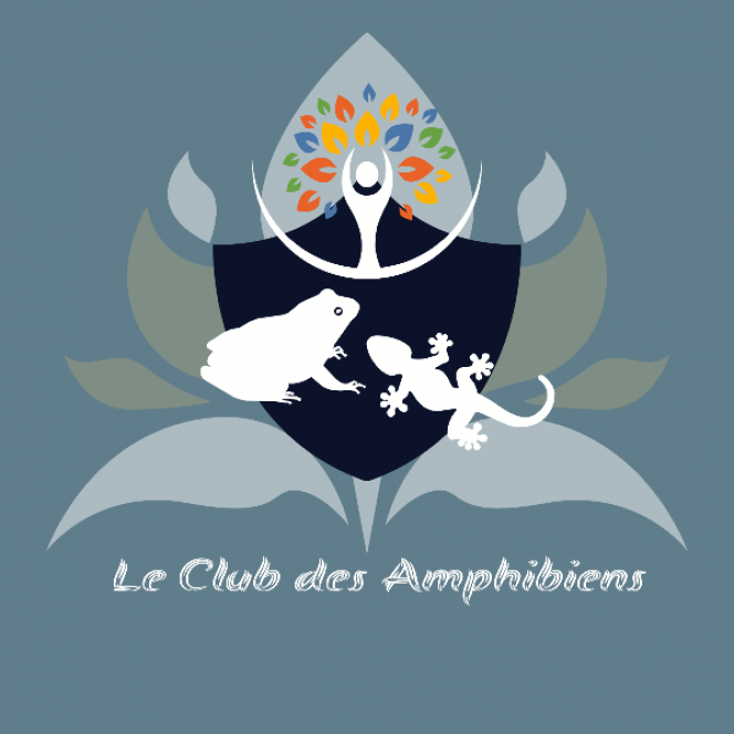 Photographie du post de Lulu82 
