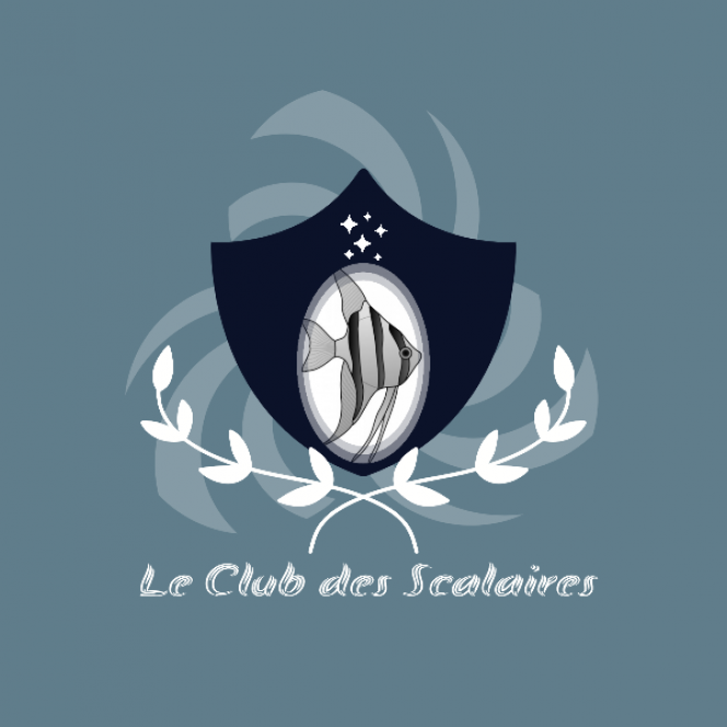 Photographie du post de Lulu82 