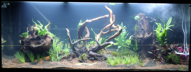 Rio 450 Mise en eau