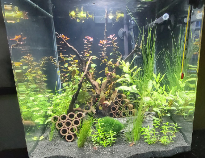 Nano 35 litres 