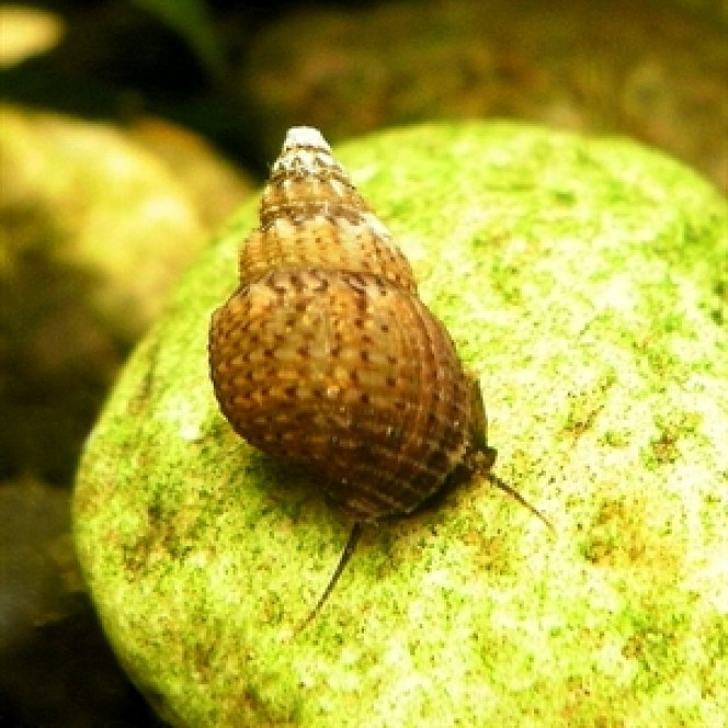 Photographie du post de Aquata 