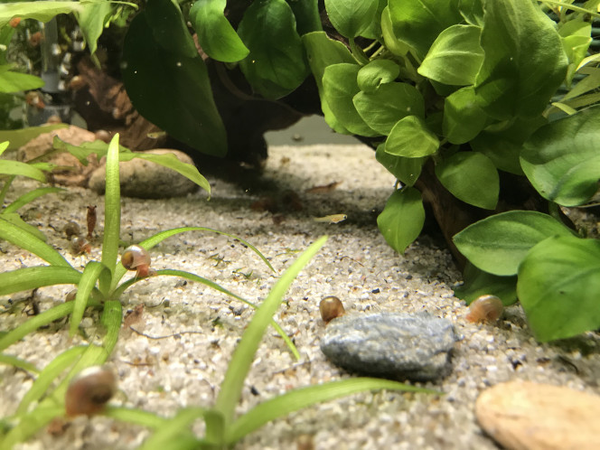 Photographie du post de Aquata 