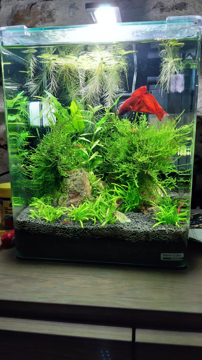 Nano 20 LITRES 