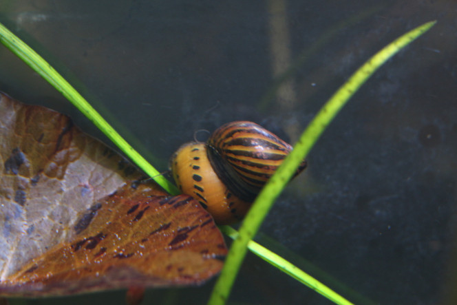 Photographie du post de MarleneMLX 