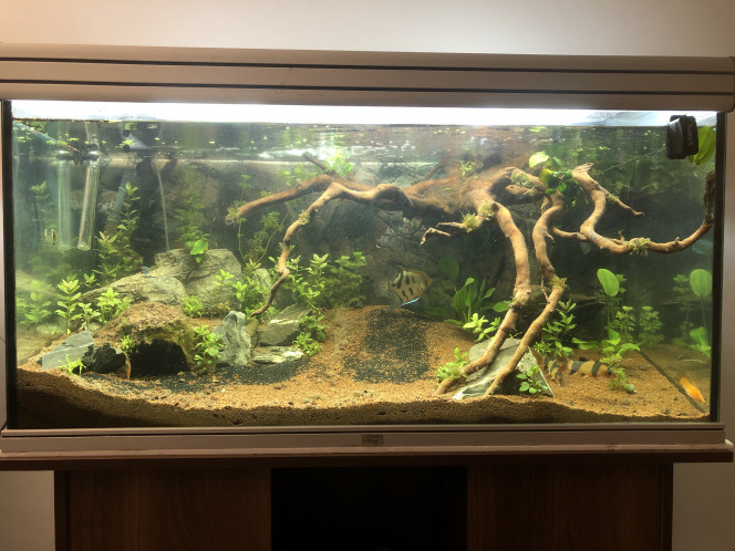 Aqualuna300 Aquarium tank