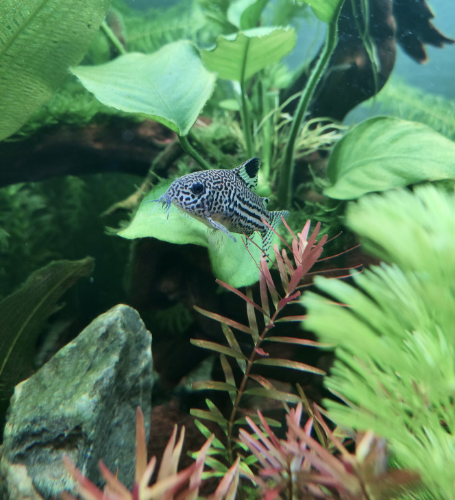 Photographie du post de TortueGeniale91 