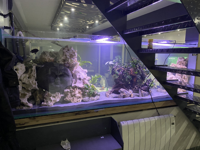 Photographie du post de reynald-r 